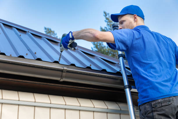 Best Metal Roofing Installation  in Holt, MI