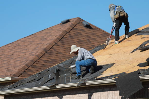 Best Skylight Installation and Repair  in Holt, MI