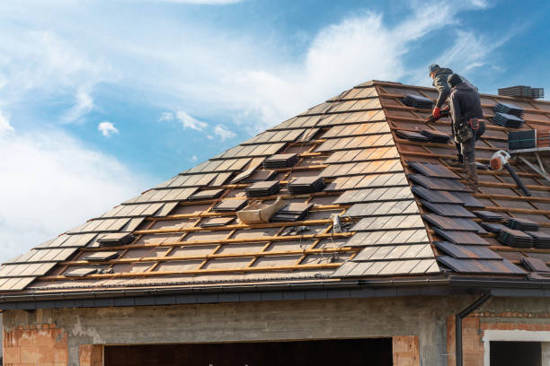 Best Storm Damage Roof Repair  in Holt, MI