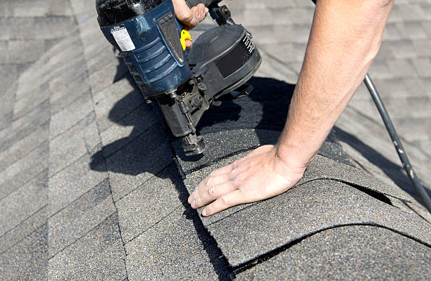 Best Roof Replacement  in Holt, MI