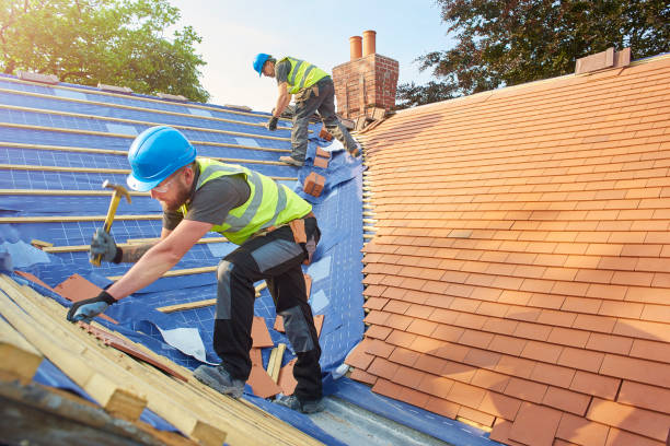 Roof Insulation in Holt, MI